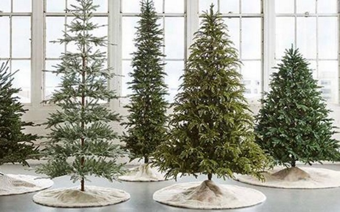How to Take Care of Christmas Trees at Home